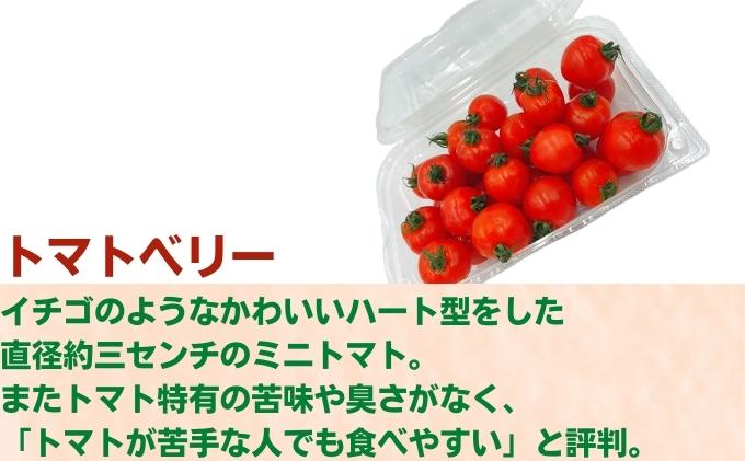 「栗林農園」素のままパスタソースとトマトベリーと紅まどんなのセット 素材の味 無水調理 凝縮 無着色 無香料 化学調味料 不使用 合成保存料 ミニトマト みかん