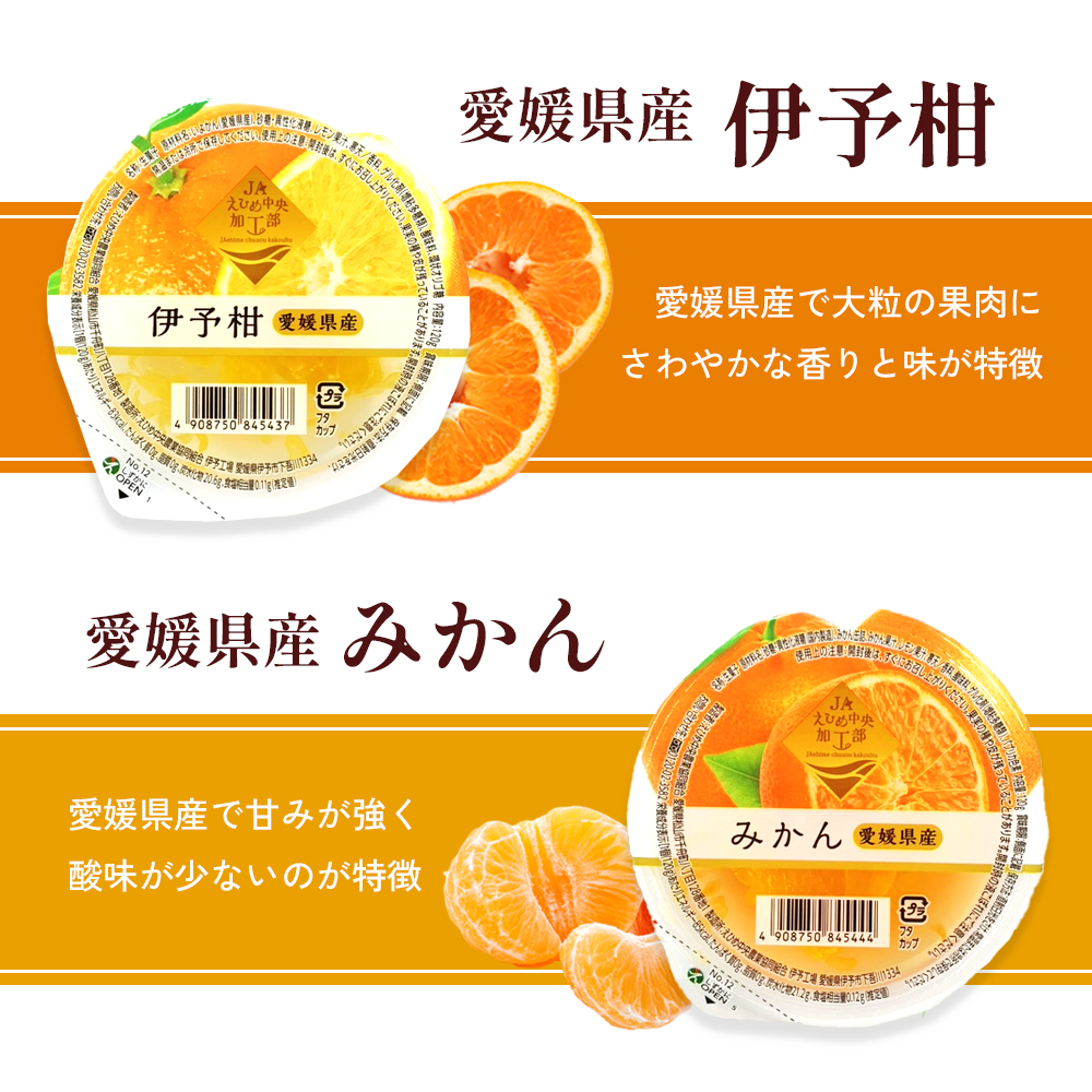 NO.12まるごと果樹園詰合せ