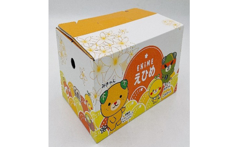 せとか L～3Lサイズ　2.5kg　ご家庭用