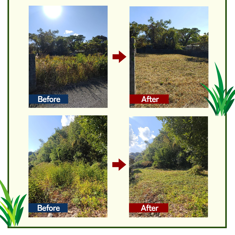 草刈サービス（空家、空地管理）300平米まで