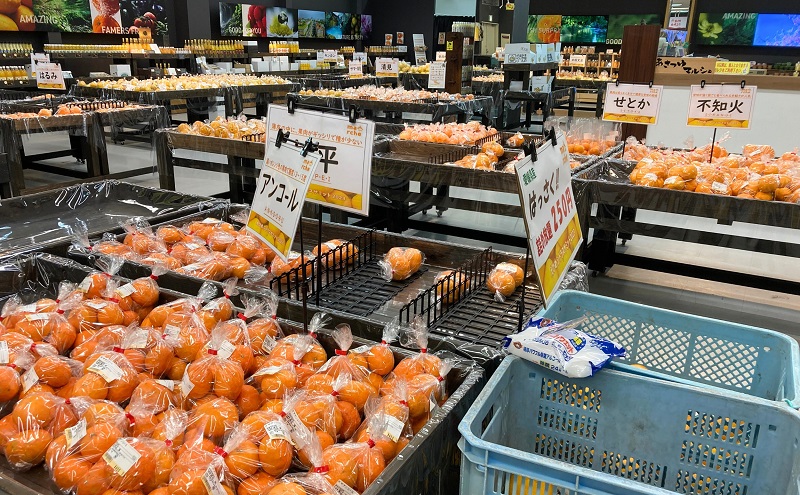 愛媛県産 紅まどんな「優品」JA正規品 約2.7kg 数量限定30箱 12月～順次発送【柑橘 甘い 高級 極上 直送 正規みかん 愛果28号】