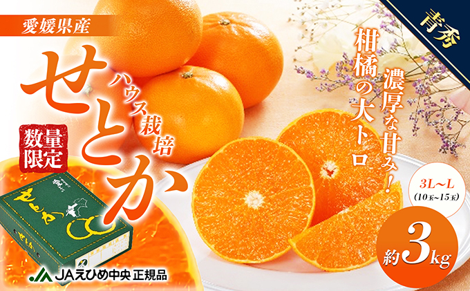 せとか ハウス栽培　青秀　約3kg