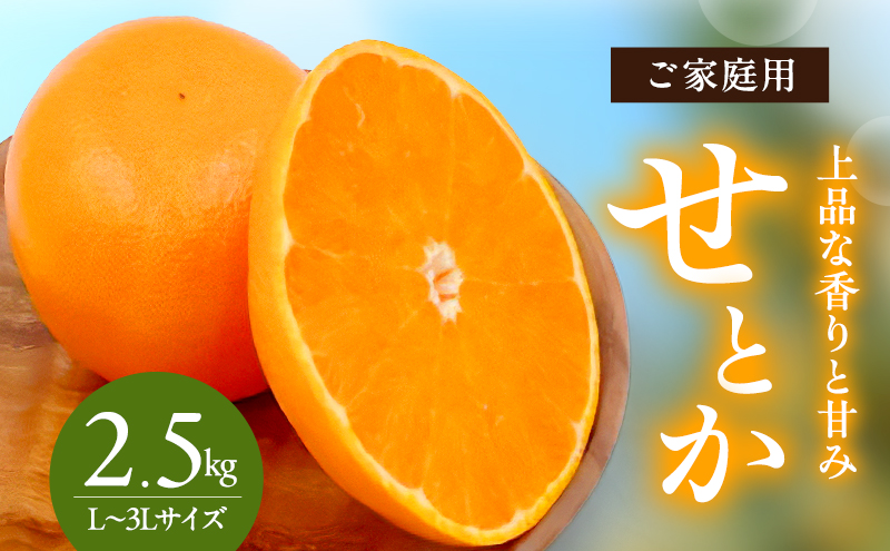せとか L～3Lサイズ　2.5kg　ご家庭用