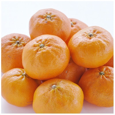 【先行受付】甘平(かんぺい)化粧箱　4L～2Lサイズ　8～12玉　愛媛県JAおちいまばり