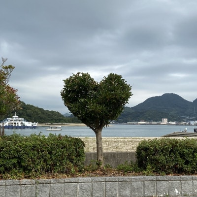 熟成ジビエBBQ付キャンプ場ご利用プラン 【5人様用引換券】