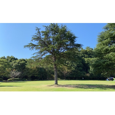 熟成ジビエBBQ付キャンプ場ご利用プラン 【1人様用引換券】