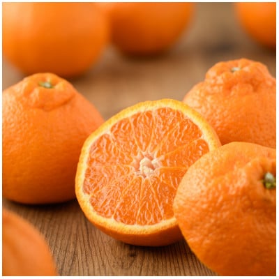 【先行予約】瀬戸内のデコポン 約5kg 3L～L　18玉～24玉　JA選果品　上島・今治産　