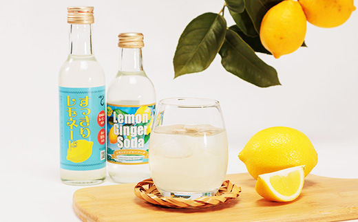 レモンジンジャーソーダ8本とすっきりレモネード4本のセット(岩城島産レモン使用)