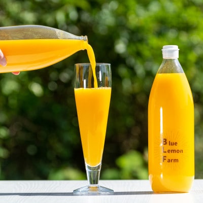愛媛　ブルーレモンファームのごくしぼりみかんジュース　1L　1本