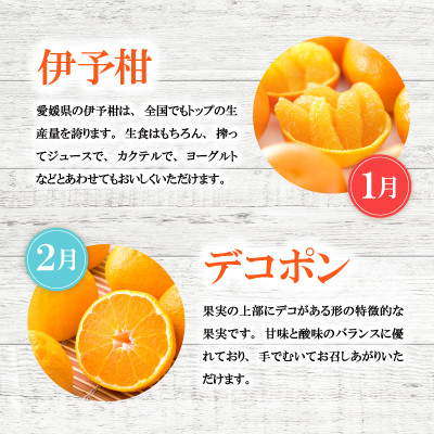 【発送月固定定期便】2025年11月発送開始　えひめかんきつ定期便　全6回【配送不可地域：離島】