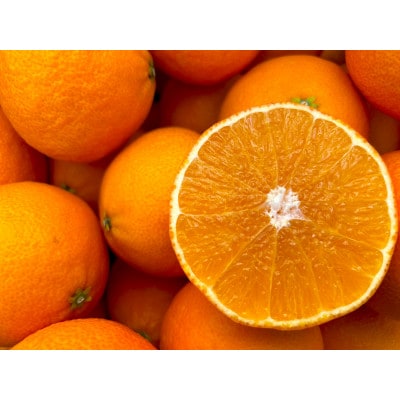 シュガーファームの丸搾り まどんなジュース　720ml×6本