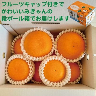 愛媛　ブルーレモンファームのせとか　2kg【数量限定】