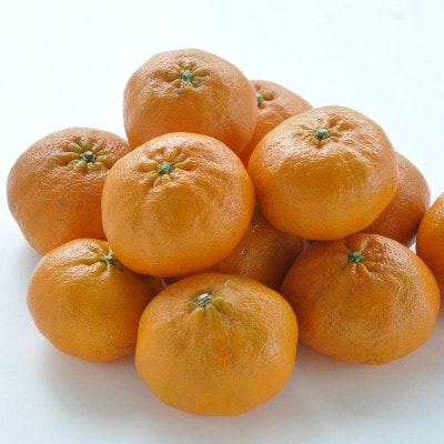 【先行受付】人気柑橘　甘平(かんぺい)レギュラー箱　5kg　愛媛県　JAおちいまばり【配送不可地域：離島】