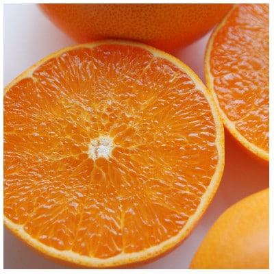 【先行受付】せとか　レギュラー箱　5kg　愛媛県JAおちいまばり【配送不可地域：離島】