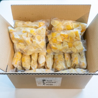 瀬戸内産　カットレモン 冷凍　200g×15パック【2026年2月中旬～順次発送】数量限定【配送不可地域：離島】