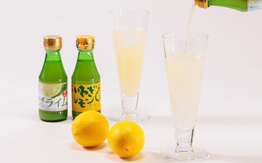 果汁2種(レモン・ライム)セットA　計4本