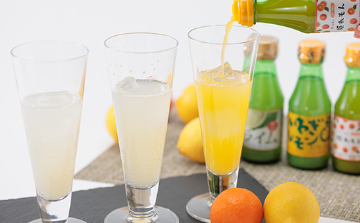 果汁3種(レモン・ライム・姫レモン)セットA　計6本