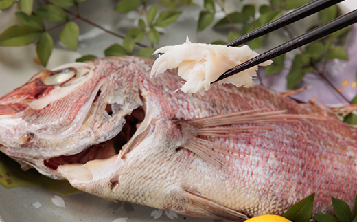 岩城島、浦安水産の蒸し焼き鯛【配送不可地域：離島】