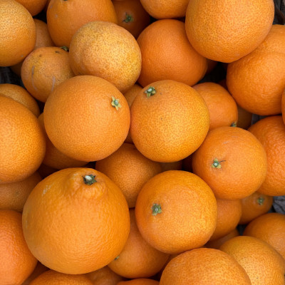 【12月上旬～順次配送】【訳あり】シュガーファームのまどんな3kg サイズミックス