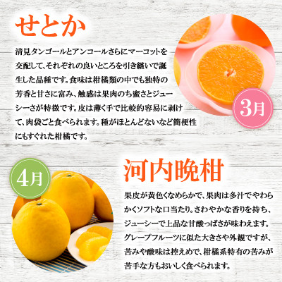 【発送月固定定期便】2025年11月発送開始　えひめかんきつ定期便　全6回【配送不可地域：離島】