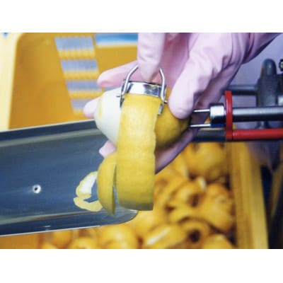 【毎月定期便】青いレモンの島　レモン果汁150ml×6本全3回