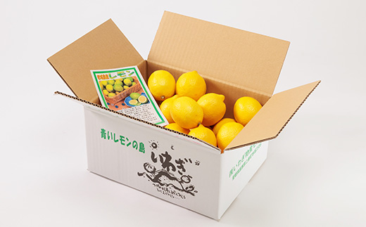 青いレモンの島　レモン約3kg