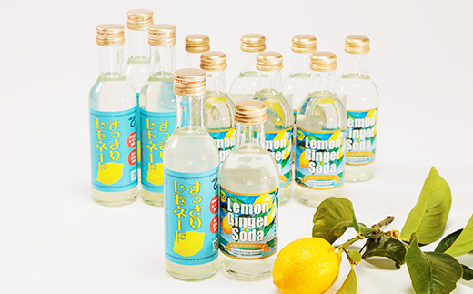 レモンジンジャーソーダ8本とすっきりレモネード4本のセット(岩城島産レモン使用)