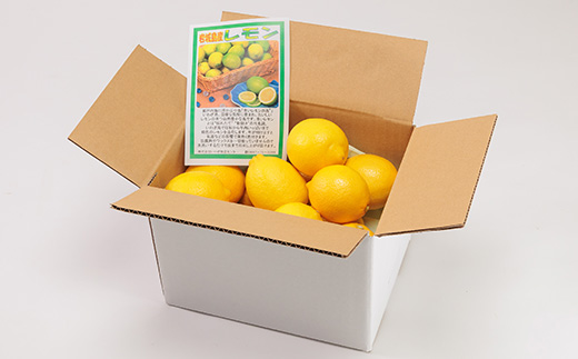 青いレモンの島　レモン約1kg【お試しセット】
