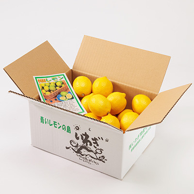 【7月出荷】　貯蔵蔵出し国産レモン約3kg(冷蔵便発送)※サイズはS玉～2L玉のいずれか、混載【配送不可地域：離島】