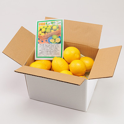 【7月出荷】青いレモンの島　貯蔵蔵出しレモン約1kg【お試しセット】(冷蔵便発送)【配送不可地域：離島】