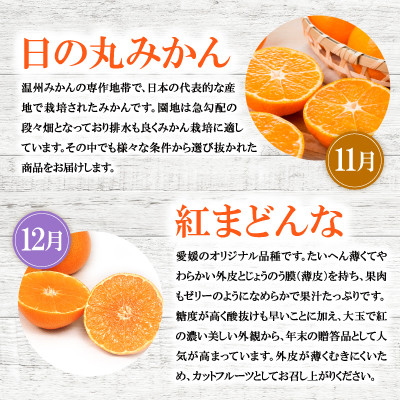 【発送月固定定期便】2025年11月発送開始　えひめかんきつ定期便　全6回【配送不可地域：離島】