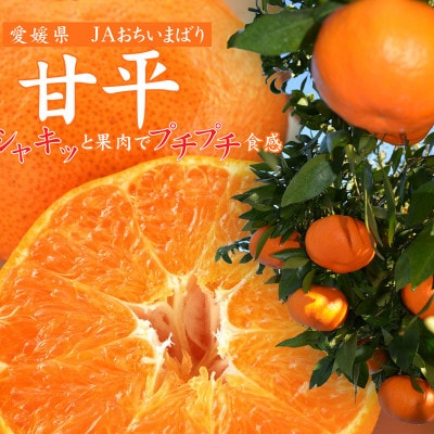 【先行受付】甘平(かんぺい)化粧箱　4L～2Lサイズ　8～12玉　愛媛県JAおちいまばり