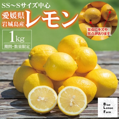 愛媛　ブルーレモンファームの訳ありレモン　1kg　【冷蔵便】期間・数量限定【配送不可地域：離島】
