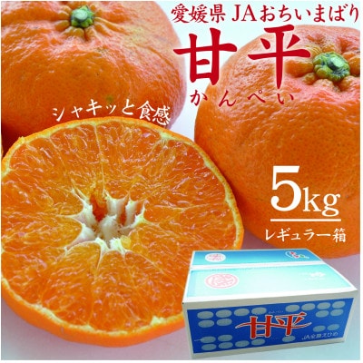 【先行受付】人気柑橘　甘平(かんぺい)レギュラー箱　5kg　愛媛県　JAおちいまばり【配送不可地域：離島】