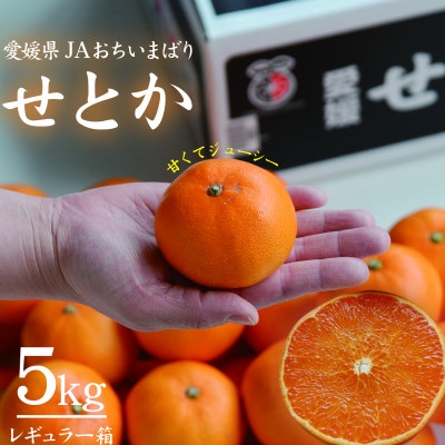 【先行受付】せとか　レギュラー箱　5kg　愛媛県JAおちいまばり【配送不可地域：離島】