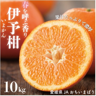 愛媛県産伊予柑 10kg　2L～L
