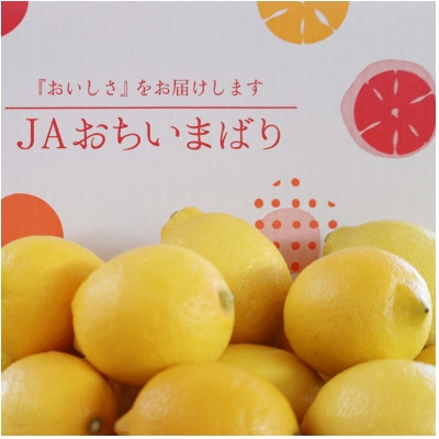 【先行予約】瀬戸内レモン小箱　約2.5K　JA選果品　2L～Mサイズ