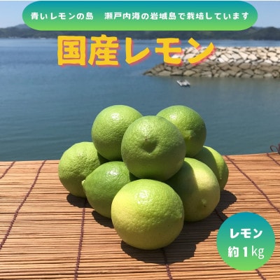 【先行予約11月発送～】青いレモンの島　グリーンレモン約1kg