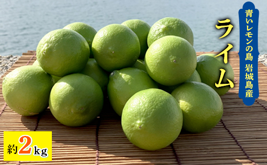 青いレモンの島　ライム約2kg