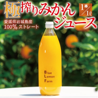 愛媛　ブルーレモンファームのごくしぼりみかんジュース　1L　1本