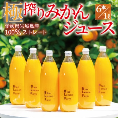 愛媛　ブルーレモンファームのごくしぼりみかんジュース　1L　6本