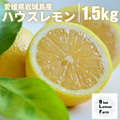 愛媛　ブルーレモンファームのハウス栽培レモン　約1.5kg　【2024年11月中旬～順次発送】