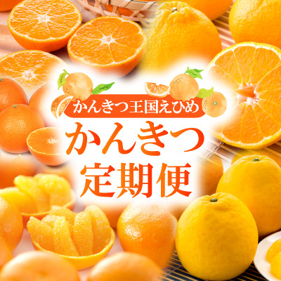 【発送月固定定期便】2025年11月発送開始　えひめかんきつ定期便　全6回【配送不可地域：離島】