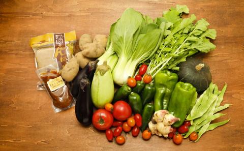 【定期便】【自然豊かな面河の旬の恵みをお届け！】おもご季節の贈り物定期便（野菜・加工品6回コース） ※着日指定不可