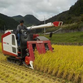 【R7年産新米】愛媛県 久万高原町 コシヒカリ10kg（5kg×2袋）なかた農園｜お米 コメ こめ 令和7年産 5kg 10kg 精米 ご飯 ごはん 朝食 昼食 家庭用 ※2025年10月上旬頃より順次発送予定 ※離島への配送不可