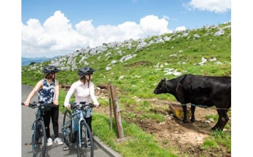 アウトドア 体験「天空サイクリング 半日利用券1名様分」｜レジャー 自転車 長期休暇 夏休み 家族 カップル 男性 女性 アクティビティ 愛媛 久万高原町