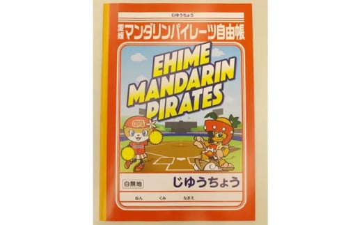 【愛媛県共通返礼品】愛媛マンダリンパイレーツ文具3点セット