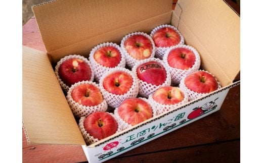 りんご陽光中箱（4～5kg） 10～12個入り ｜ 正岡観光りんご園 愛媛県 久万高原町産 りんご リンゴ 林檎 くだもの 果物 フルーツ 旬 ※2025年10月上旬～10月下旬頃に順次発送予定