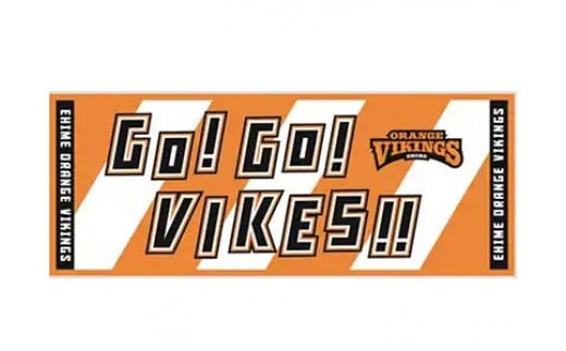 【愛媛県共通返礼品】応援の必需品!バイクス応援セット(タオル・メガホン・ペンライト)