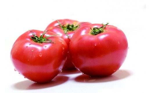 赤の元気「トマトケチャップ」5個セット 無添加◆｜完熟トマト 詰め合わせ 個包装 トマト とまと ケチャップ トマトケチャップ アレンジ アレンジ料理 万能 保存料不使用 完熟トマト 完熟 料理 調味料 濃い 多用途 おすすめ 人気 美味しい 万能調味料 ベジタブル 濃厚 野菜 ソース パスタ 無添加 愛媛 久万高原町 赤の元気 ※着日指定不可